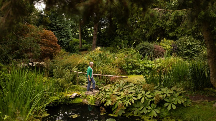 Visitors discovering the garden at Goddards, North Yorkshire